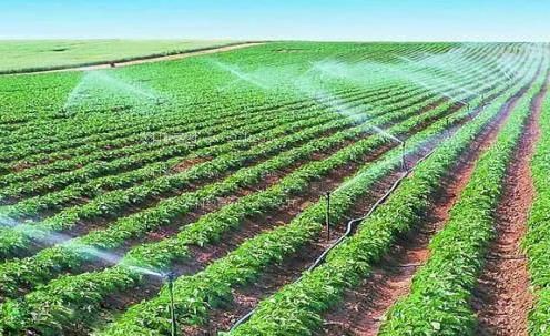 能看逼的网站农田高 效节水灌溉